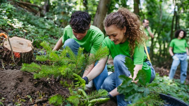 Two people plant trees together while volunteering.