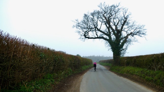 Mandatory Credit: Photo by Geoffrey Swaine/Shutterstock (15221390k) It was a misty start to the day in the Oxfordshire countryside. Seasonal weather, Dunsden, Oxfordshire, UK - 25 Mar 2025